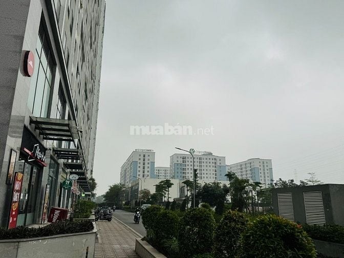 Cho thuê nhà số 18/3 đường Đông Thắng tiện K.Doanh, mở Cty, 4tr/tháng