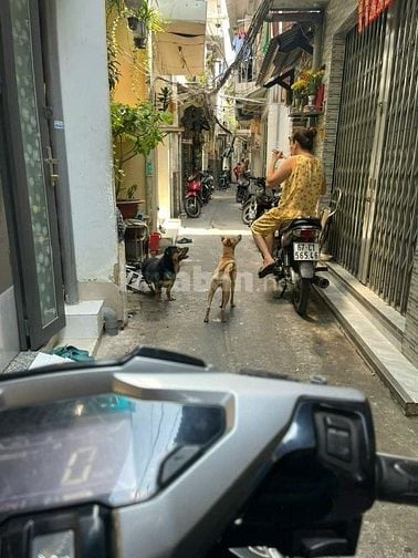 Nhà hẻm 322 Minh Phụng Q11..3m x 9m, 1 trệt 1 gác suốt, 1.32 tỷ