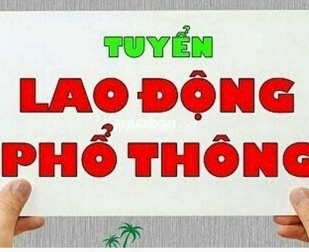 CẦN GẤP LAO ĐỘNG PHỔ THÔNG LÀM VIỆC TẠI KHO MỚI 