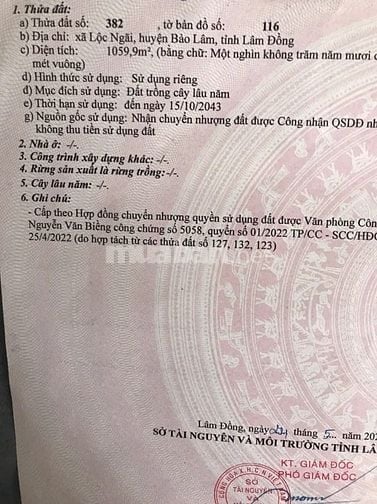 Bán đất Homestay tại xã Lộc Ngãi, Bảo Lâm, Lâm Đồng