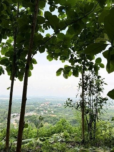 Bán đất view suối đẹp tuyệt tại Định Quán Đồng Nai 850tr/1000m2