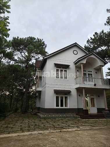 Cho thuê villa sân vườn 5 phòng tại phường 8 đà lạt 25 triệu/tháng 