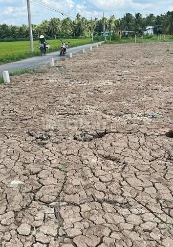 Bán đất 2498m2 thổ ấp Trung Hòa - Trung Hòa - Chợ Gạo - Tiền Giang