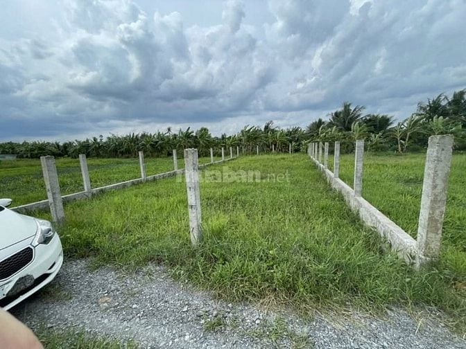 Bán 274m2 đất ODT phường Tân Khánh, TP Tân An, tỉnh Long An