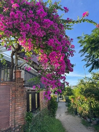 Bán nhà 2 mặt tiền dt; 225m2,ngang 7,5, đường 10,5m. Hương Thuỷ. Huế.