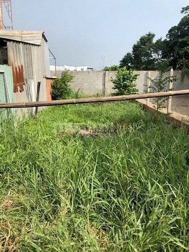 Cô Sáu gửi bán lô đất thổ cư 80m2, Tân Thạnh Đông, Củ Chi, Giá 980 tr.
