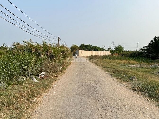 Cho thuê 7.000 m2 đất hẻm 366 Phạm Hữu Lầu, Phước Kiển, Nhà Bè 