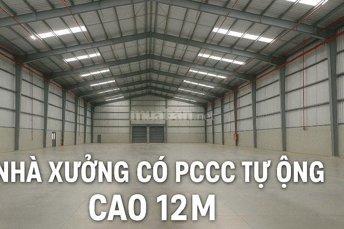 Cho thuê 6.850m2 nhà xưởng cao cấp , KCN Nam Thuận , Đức Hòa ,Long An 