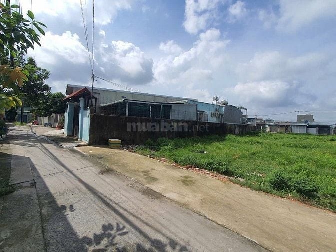 Cần bán gấp đất thổ cư trung tâm thị trấn Hóc Môn, 5,6x24m, 3 tỷ 300