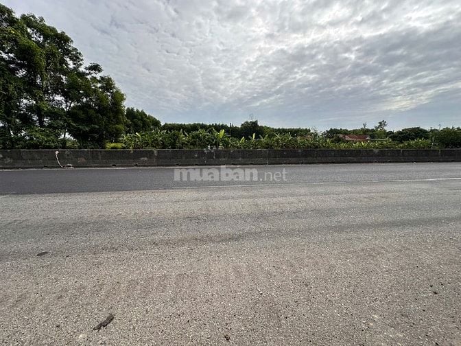 BÁN ĐẤT MẶT TIỀN QL1A PHONG AN,PHONG ĐIỀN