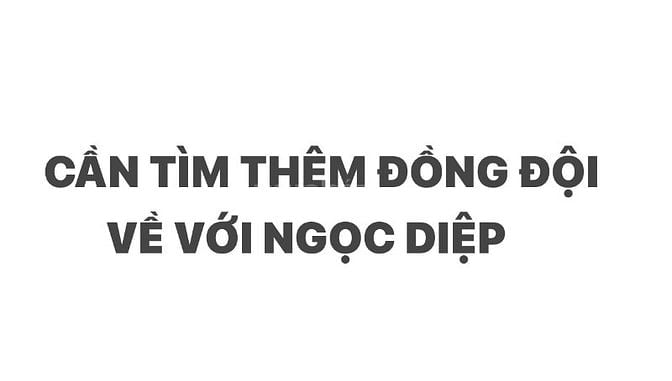 NGỌC DIỆP CẦN BỔ SUNG NHÂN SỰ DỌN DẸP TẠP VỤ KHU VỰC QUẬN TÂN PHÚ 
