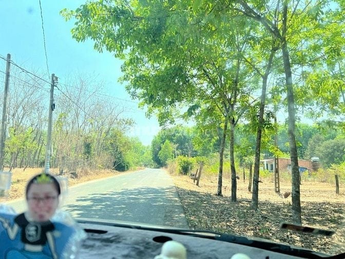Chính chủ cần bán đất Minh Lập (Chơn Thành)