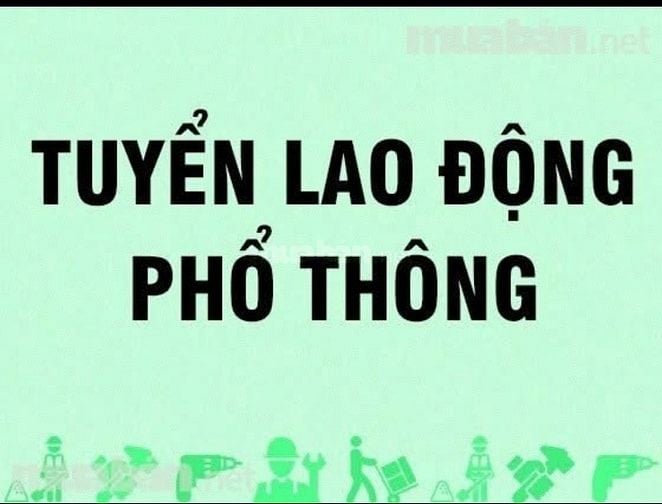 CÔNG TY PHÁT HƯNG THỊNH TUYỂN 1 LAO ĐỘNG PHỔ THÔNG