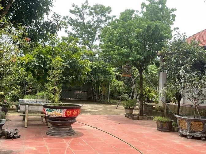 Bán nhà vườn đầy đủ tiện nghi chỉ việc xách vali về ở.