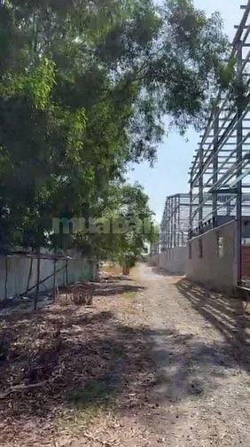Cho thuê xưởng 17.000m2. Xã Lương Bình, Bến Lức, LA. 2 MT 830 và sông 