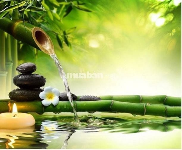Nhận cạo gió, bấm huyệt, tay nghề tốt, nhiệt tình, vui vẻ