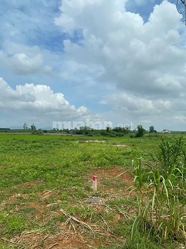 Bán gấp lô Đất giá rẻ chỉ vài trăm