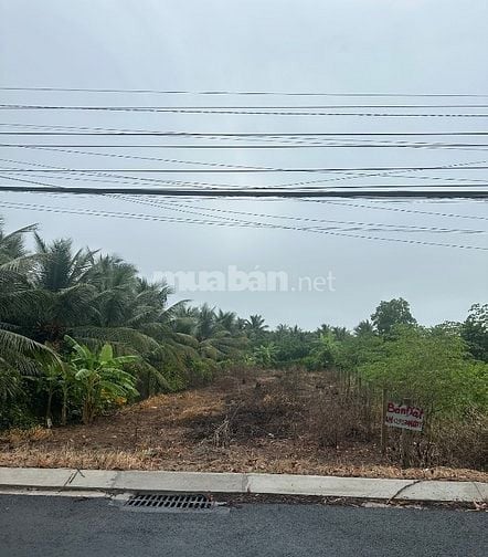 Bán đất mặt tiền đường nhựa 86B, P. Mỹ Phong (xã Tân Mỹ Chánh cũ)