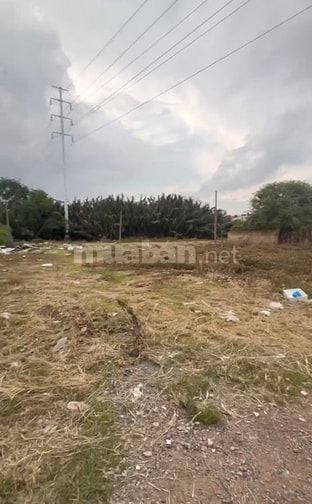 7.000m2 ĐẤT TRỐNG/ Đã Có Sổ hồng/Giá:180triệu/tháng