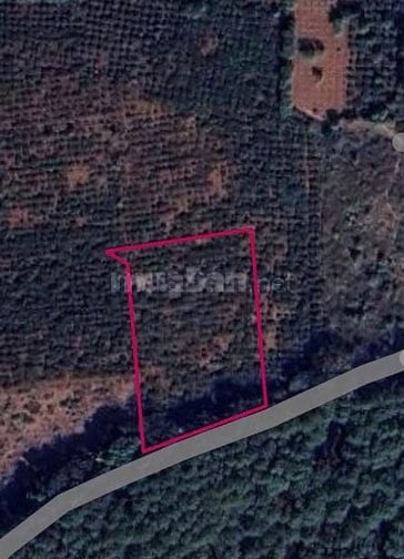 Chủ gửi lô đất 3700m2 mặt tiền đường quy hoạch 15m.