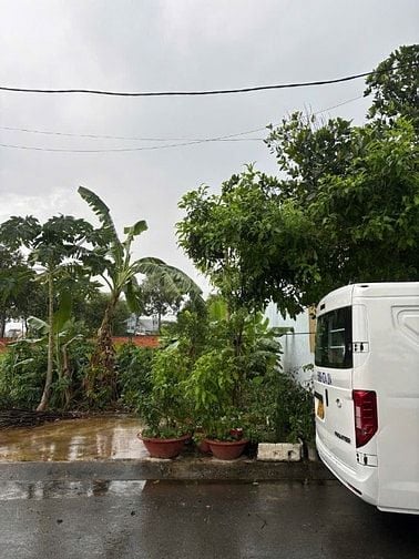 Chính chủ bán đất 100m2 giá 2,4 tỷ, Tân kim, cần giuộc 