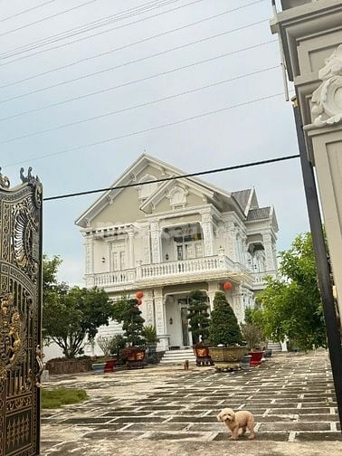 ĐI DU HỌC CẦN BÁN LỖ GẤP SIÊU BIỆT THỰ MẶT TIỀN TL786 CHỈ 42 TỶ