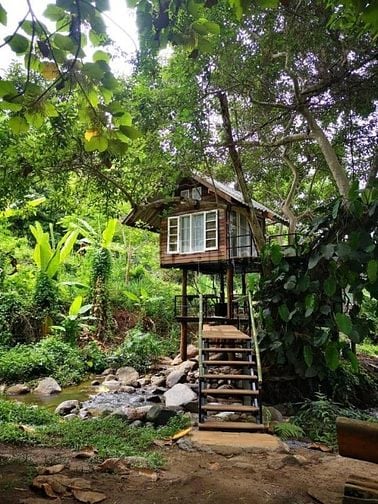 CHÍNH CHỦ BÁN GẤP VƯỜN 1.180M² CHỈ 1 TỶ TRỌN SỔ – VIEW SUỐI, ĐỒI