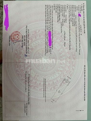 Bán nhà 7 tầng mặt ngõ 178 Thái hà