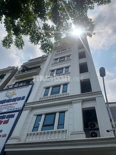 Mặt phố Phan Kế Bính, Linh Lang, Ba Đình, 120m, Mặt tiền 10,5, 84tỷ