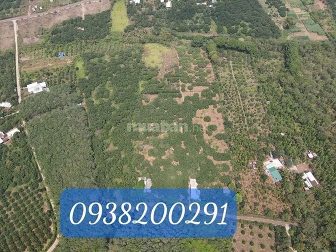 Nhà vườn sinh thái 3,2ha tại Sông Xoài Phú Mỹ nay thuộc Hồ Chí Minh