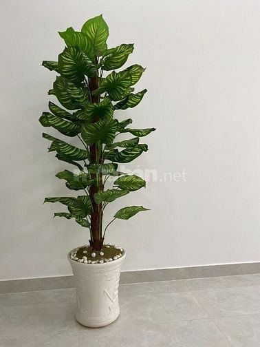 Chậu cây cảnh giả trang trí nhà cửa, Studio, Spa, Nhà hàng, khách sạn 