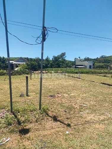 CHÍNH CHỦ LÔ ĐẤT RẺ GẦN BIỂN XÃ ĐỨC THẮNG MỘ ĐỨC QUẢNG NGÃI