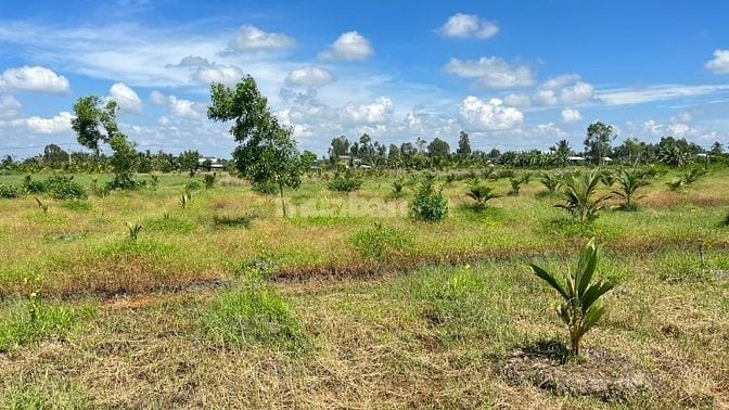 Bán Đất Thổ Vườn Đẹp Giá Rẻ Tại Tiền Giang Chỉ 585tr Có ngay 563m2