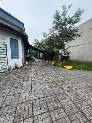 ✅Nhà 4x16 Mặt Tiền Mỹ Hạnh Nam ,Đức Hòa