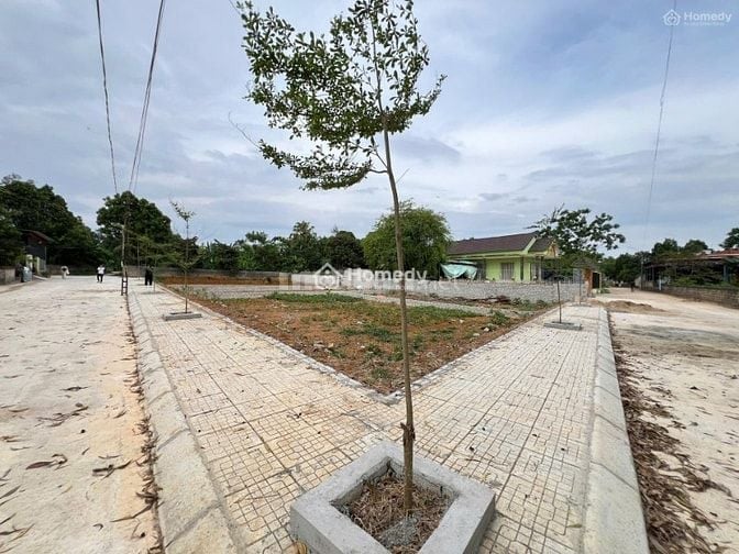 BÁN 110M2 ĐẤT NGỌC LẶC NGAY QUỐC LỘ 15, MT 10M, NHỈNH 200 TRIỆU
