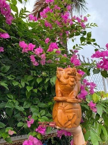 Heo g.ỗ Ngọc Am liền nguyên khối