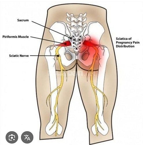  Massage toàn thân _ảnh hưởng tích cực đến tuần hoàn máu 