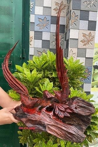 CHIM TRĨ UYÊN ƯƠNG ĐẸP ĐỘC LẠ 