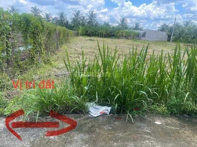 Bán đất KCN Tân Hương, 520tr, 115m2, pháp lý đầy đủ.
