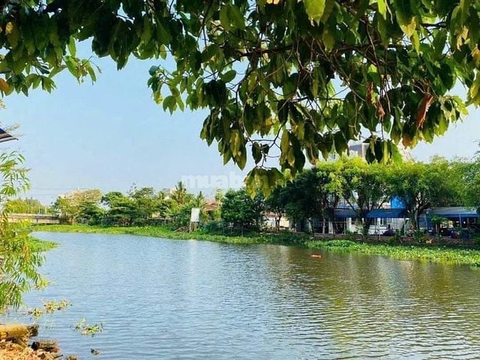 Lốc 6 lô còn 4 MT Sông Vàm Thuật . Đường Đang Làm.Gía Đầu Tư