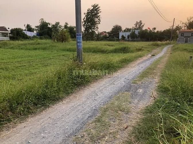 Bán đát xã mỷ hạnh [ xã củ đức hòa đông ]