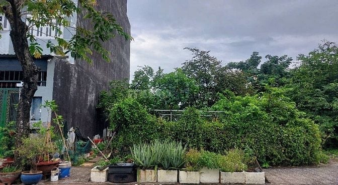 Bán đất dự án Kiến Á P Cát Lái đường NT. Định Quận 2 (100m2) 66 tr/m2