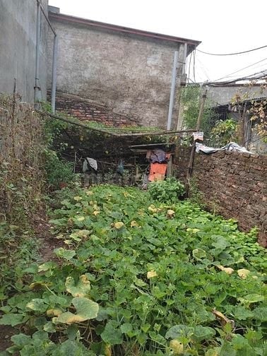 Bán đất Tả Thanh Oai -Thanh Trì, DT 35m2, giá 13 triệu/m2
