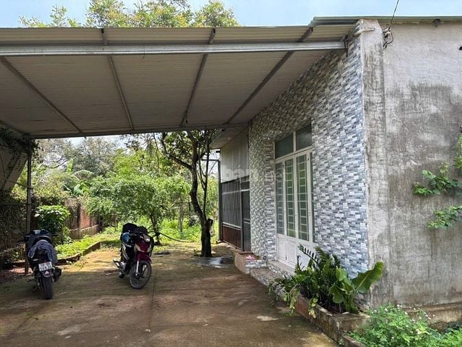 Chú Em Vườn Nghỉ Dưỡng 3.800m² Nhà Sẵn, 2 Mặt Tiền Đường 770B Hưng Lộc