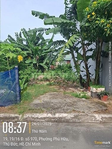 Bán đất đường 970 phường Phú Hữu Quận 9 cũ giá 5,2 tỷ