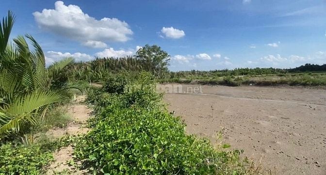 Chính chủ cần bán gấp lô đất mặt tiền sông rạch cá gấu lớn