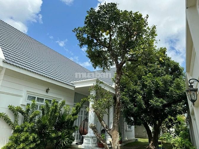 Bán biệt thự sân vườn có quán cafe tại Long Đức Trung Tâm Tp.Trà Vinh