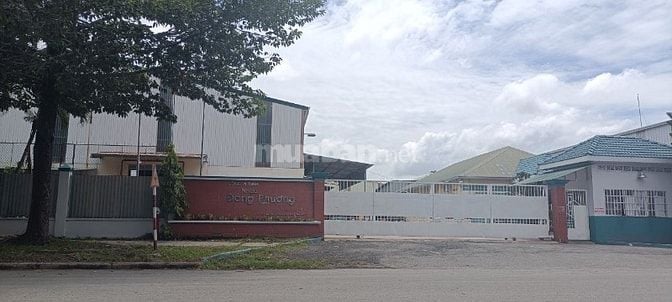 cần tuyển 15 công nhân lao động phổ thông