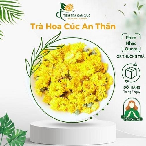 7 Nhóm Người Không Nên Uống Trà Hoa Cúc