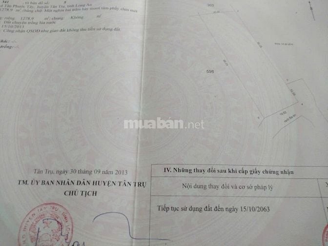 Cần bán 5653m2 đất lúa ven sông ấp 3,Tân Phước Tây, Tân Trụ, Long An